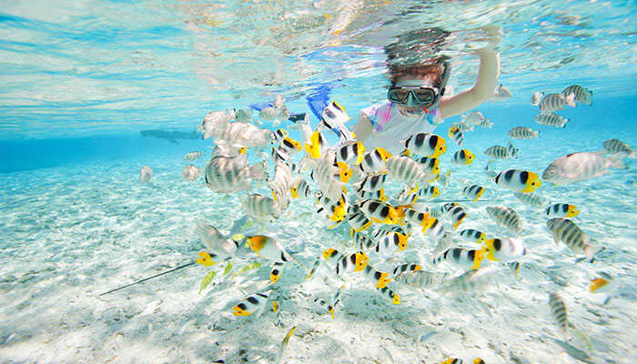 Visitors experience snorkeling at Koh Rong Beach