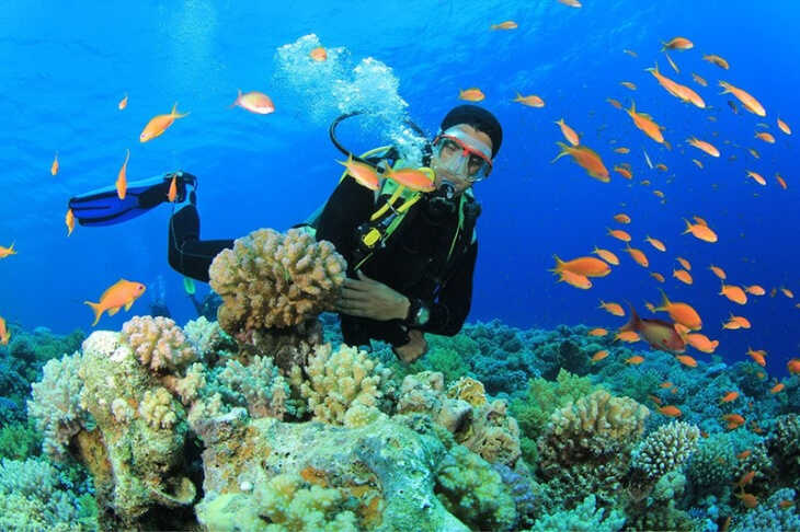 Admire the coral reefs at Ky Co Beach, Quy Nhon