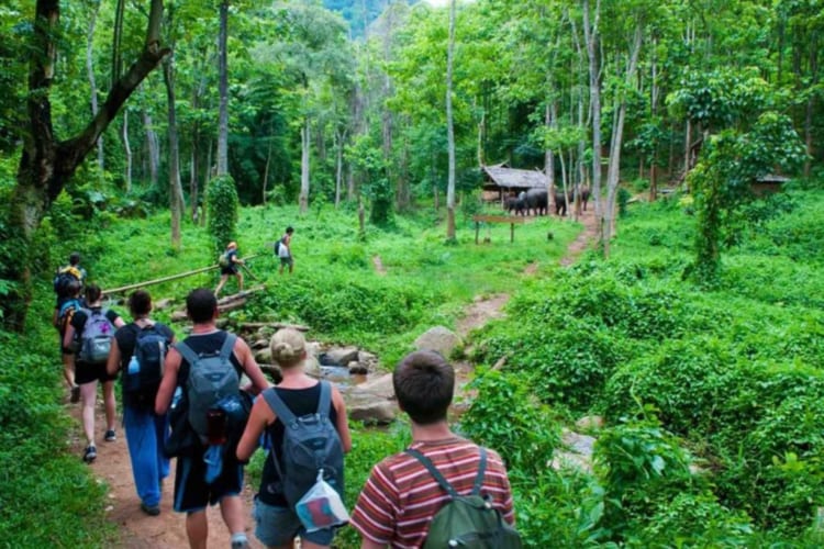 visitors at Muong’s Village