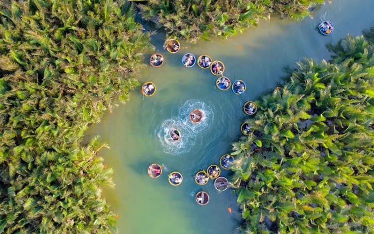 Bay Mau Coconut Forest from the bird's eye view