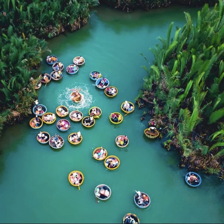 Overview of Bay Mau Coconut Forest from top to bottom