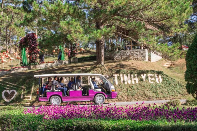 You should not miss Da Lat Valley of Love to capture the Cherry Blossom blooming