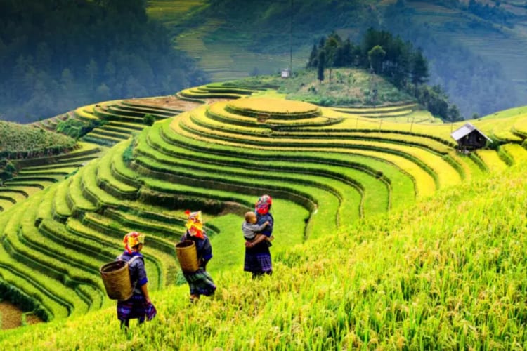 A mother and her daughter making their way to do farming chores in Sapa’s Village