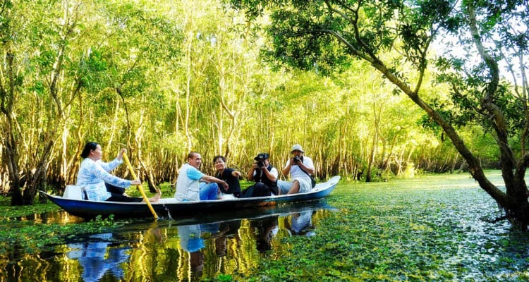 You can row a small boat through Tra Su forest