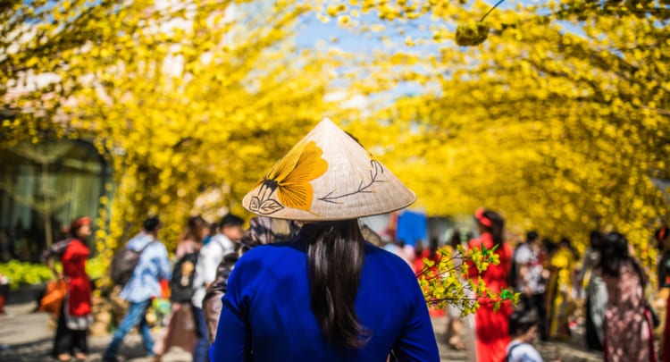 lunar new year vietnam