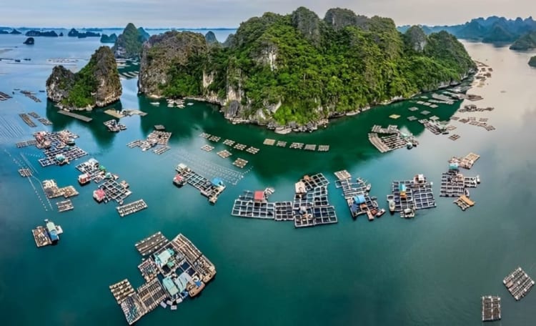 Vung Vieng fishing village from above