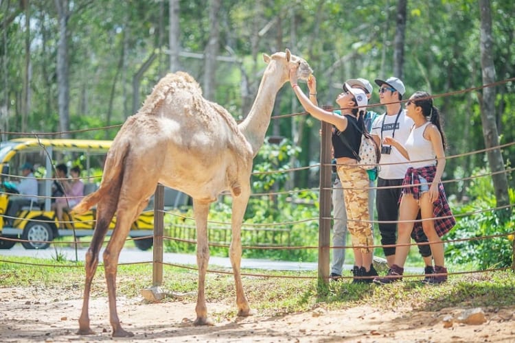 tourist and animal in a zoo