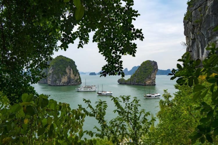 Bai Tu Long Bay in Vietnam 