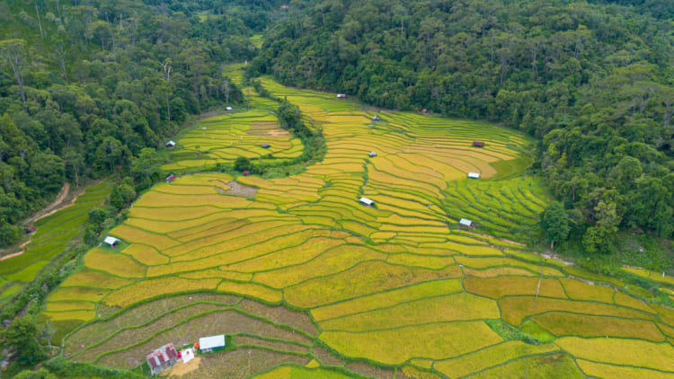 Mang Den in the summer