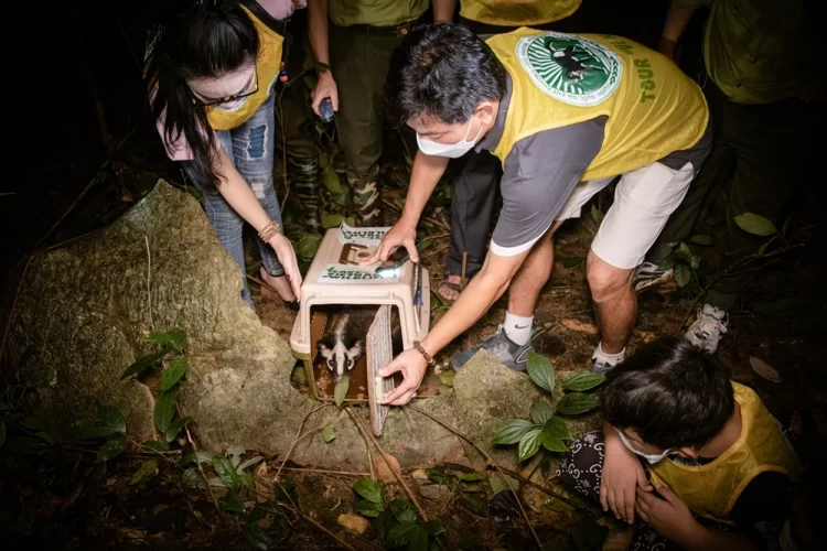 Release-the-animals-to-the-wild-in-Cuc-Phuong-National-Park