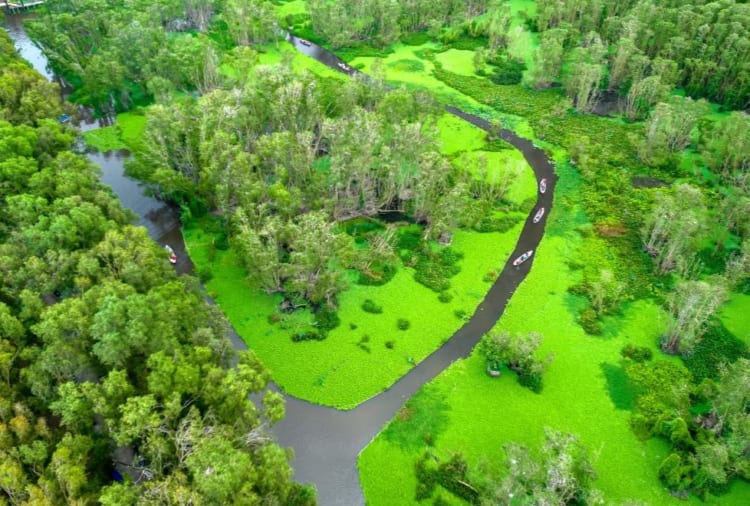 Lo Go Xa Mat National Park