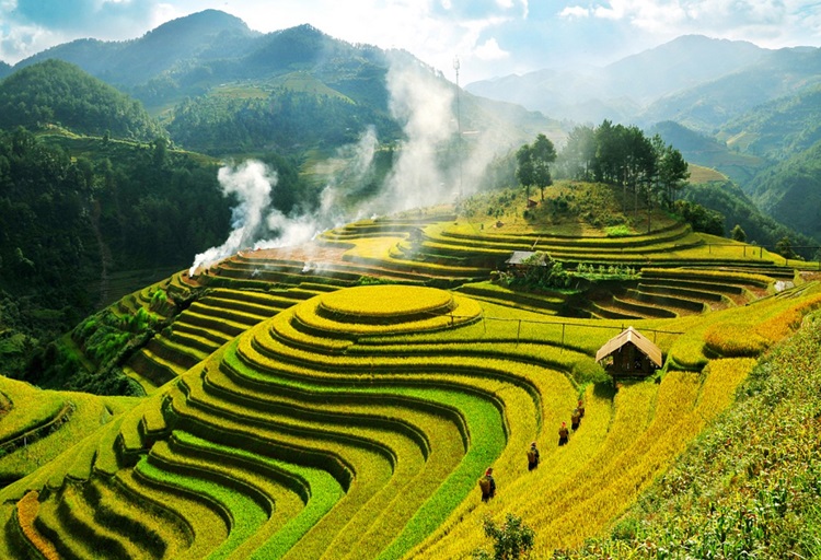 Captivated by the beauty of rice terraces in Muong Hoa Valley