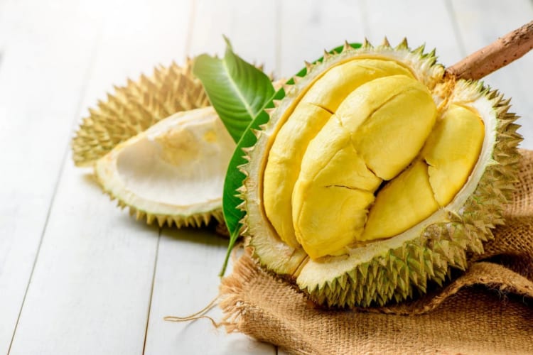 Tourists enjoy freshest durians at the Vietnam Durian festival.