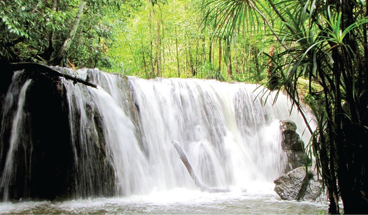 The Enchanting Charm of Tranh Stream