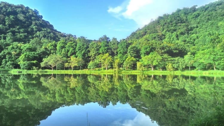 The Cuc Phuong National Park in the northern province of Ninh Binh