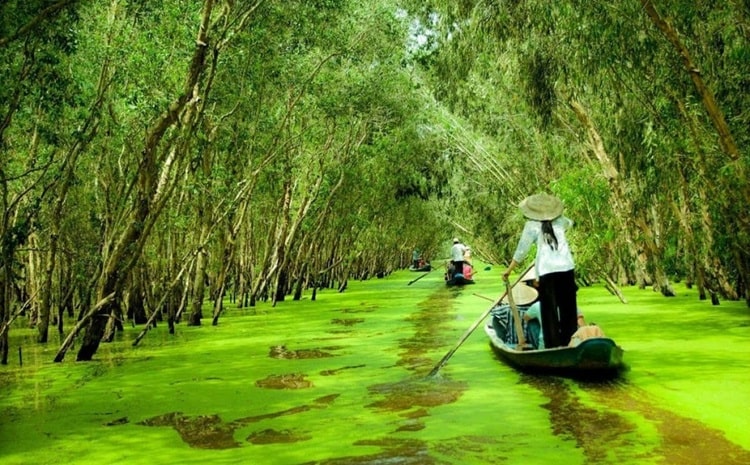 The Mekong Delta offers visitors unforgettable boat tour experiences.