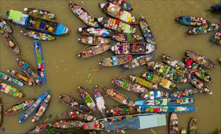 cai rang floating market can tho